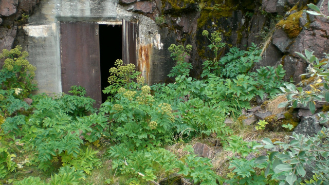 The door in the mountain