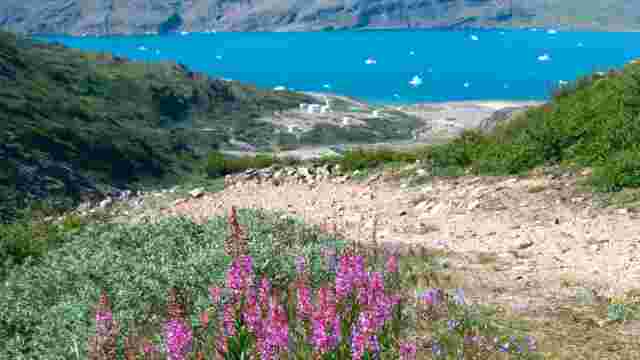 Greenland Travel Narsarsuaq