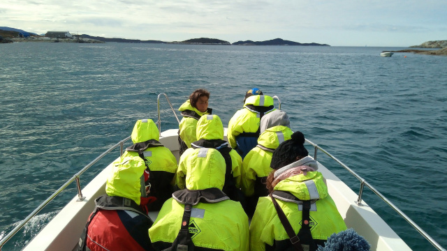 Disko Bay Tours