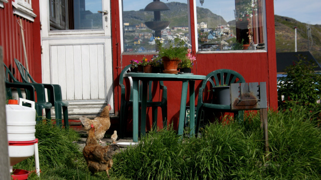 The Town of Qaqortoq