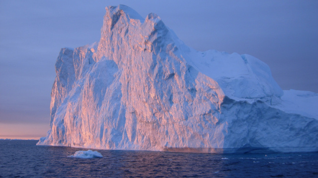 Sailing among icebergs