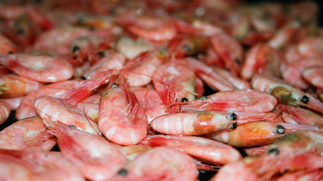 Local market of ilulissat